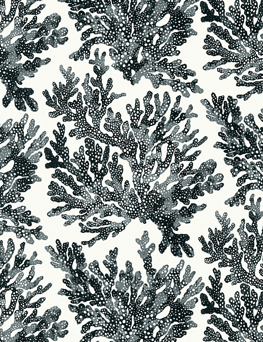 Обои Thibaut Tropics T10123