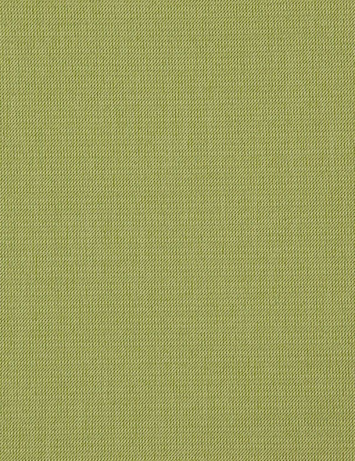 Ткань Daylight Mezzano 2 Starlight/Moss