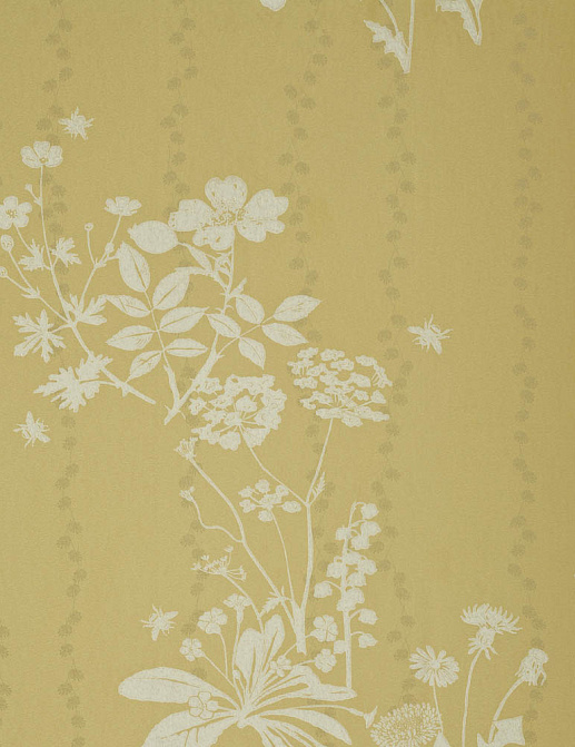 Обои Barneby Gates Book vol.1 BG0200102/Wild Meadow/Dandelion