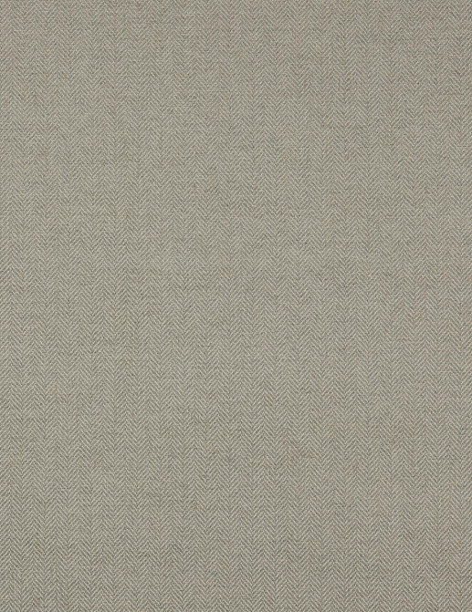 Ткань Colefax and Fowler Magnus Checks F4240/09