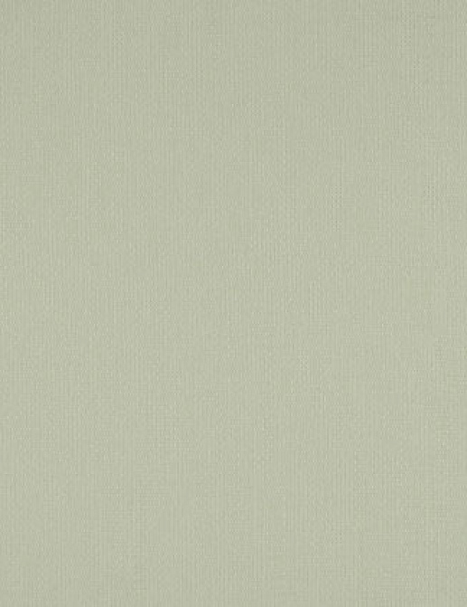 Ткань Designers Guild Santiago F1647/02