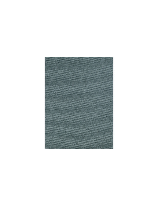 Ткань Bisson Bruneel Prairie/Aven - Tome 2 Prairie-045