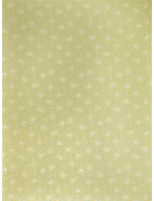 Ткань Stroheim Color Gallery Spearmint Vilaine/Spearmint