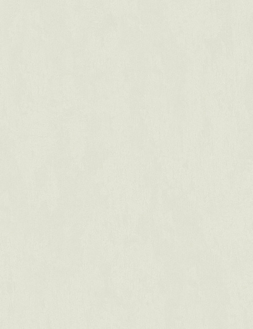 Обои Marburg Brique 58061