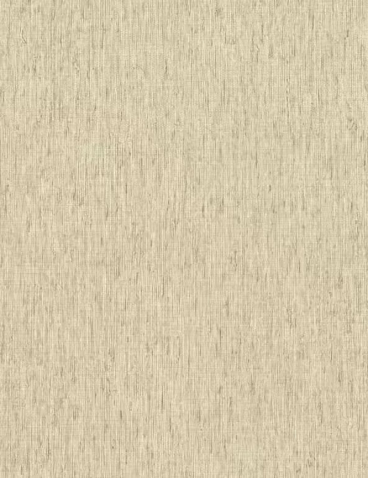 Обои Rasch Настенные структуры. Том 4 / Wall Textures XL Vol. 4 820553