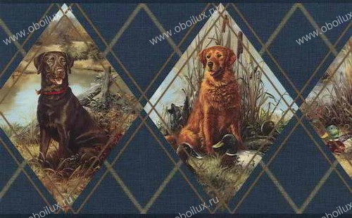 Обои Chesapeake Field Guide FG35584B