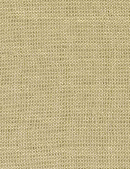 Ткань Designers Guild Bassano F1562/41