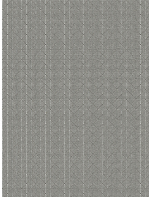 Ткань Fabricut Chromatics Vol.XXIII Zinc Aish Diamond/Grey