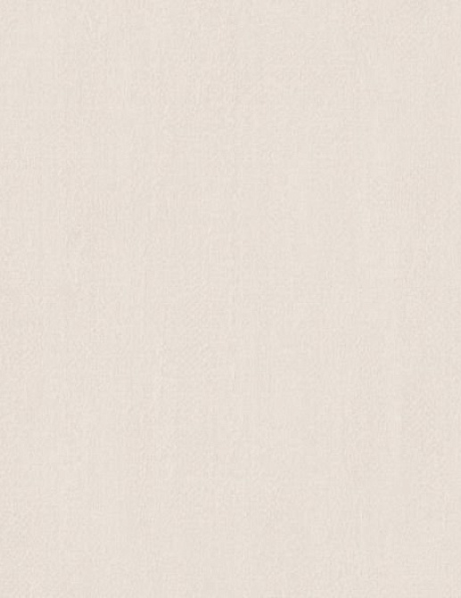 Обои Atelier Ambiance G67816