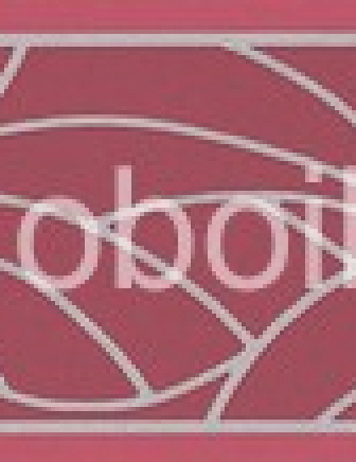 Бордюр A. S. Creation Esprit III 5833-45