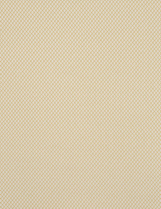 Ткань Jim Thompson Serge / Dorothee Outdoor N9012447008