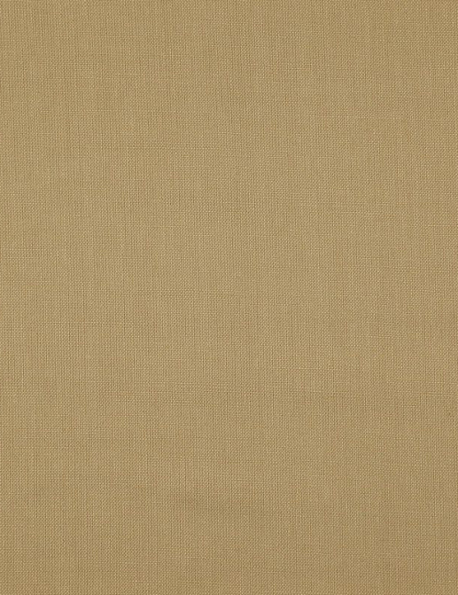 Ткань Daylight Canvas Canvas/Honey