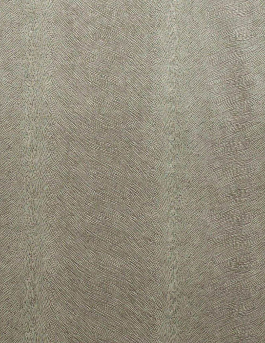 Ткань KAI Allegra Allegra/Silver