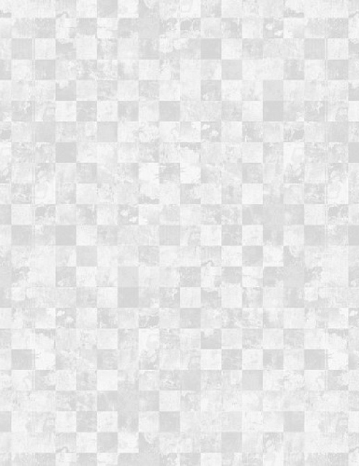 Панно и фотообои Eco Black and White 6095