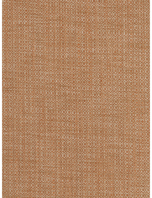 Ткань Fabricut Chromatics Vol.XXV Coral Palindrome/Yam