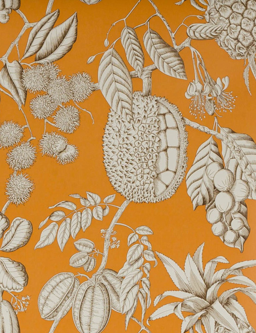 Обои Manuel Canovas Balangan 03106-01