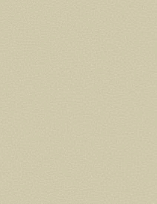 Обои Carl Robinson Edition 17 - Loft CR88007