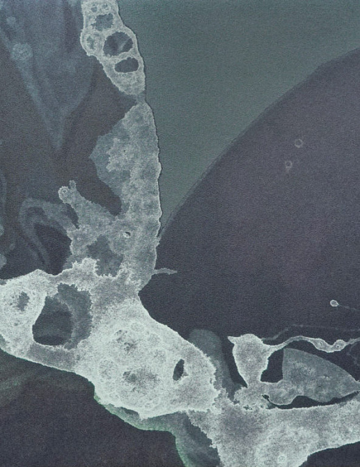 Панно и фотообои Calico Microcosmos Umbra