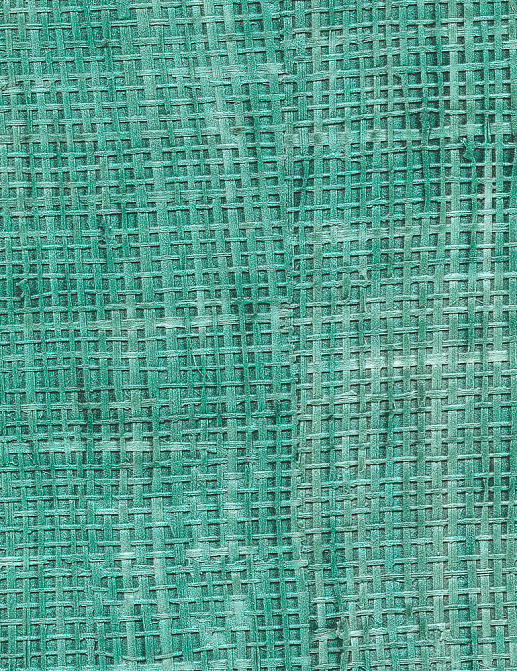Обои Elitis Raffia & Madagascar VP60166