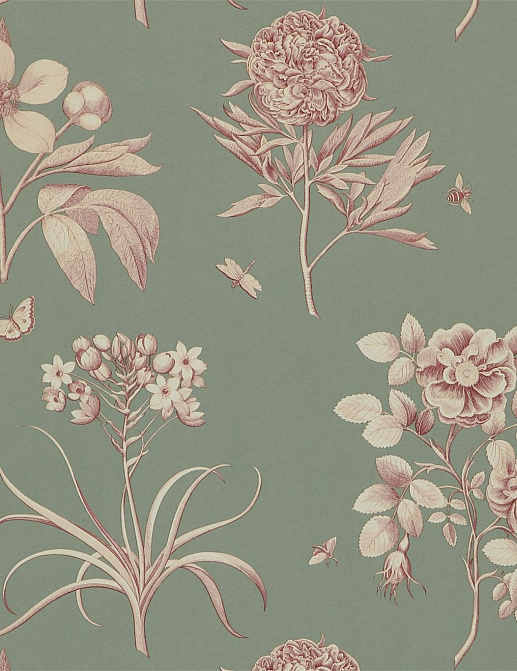 Обои Sanderson Parchment Flowers DPFWER105