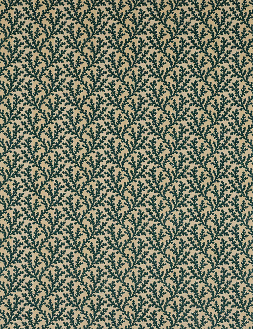 Ткань Colefax and Fowler Pelham F4857/06