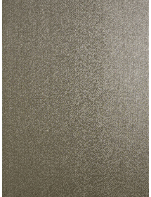 Обои Trend Vern Yip W30016/06