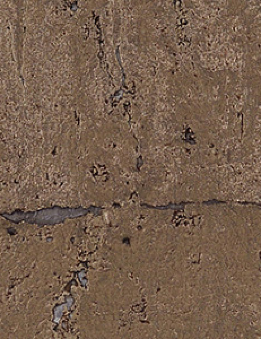 Обои Innovations Collection Gilden Cork GCO-105 WARM GOLD
