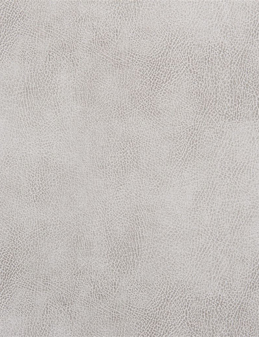 Ткань Designers Guild Nevada FDG2538/05