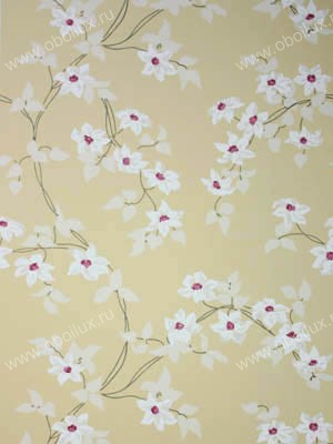 Обои Nina Campbell Montacute NCW4065-05