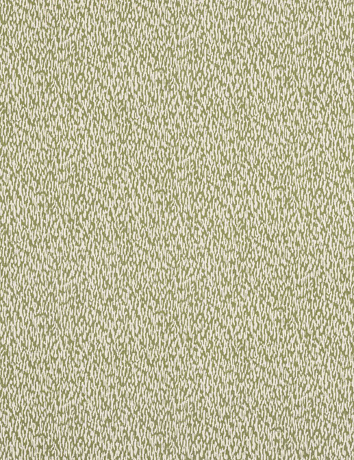 Ткань Manuel Canovas Domino M4167/06