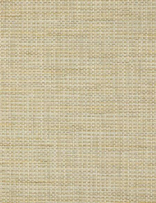 Ткань Colefax and Fowler Brett Weaves F4639/02
