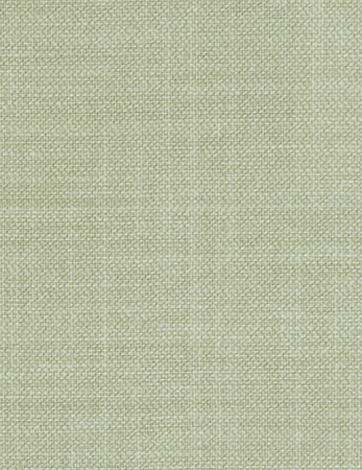 Ткань Designers Guild Naturally 2 F1197/28