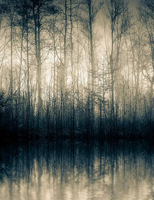 Панно и фотообои Decoprint Mood MD904002