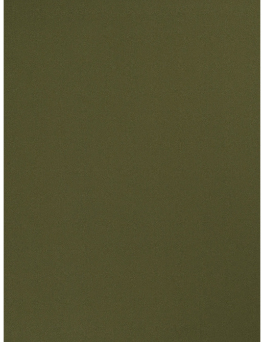 Ткань Trend Multipurpose Sleek Satin Vol.II 02022/Pesto