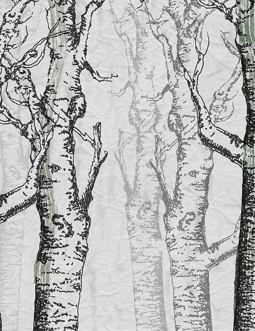 Панно и фотообои Skinwall Contemporary Collection 04A
