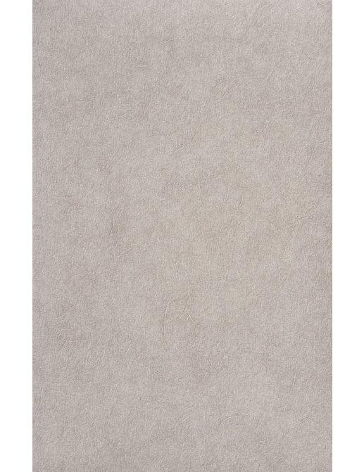 Обои Texdecor Kyoto 90411024