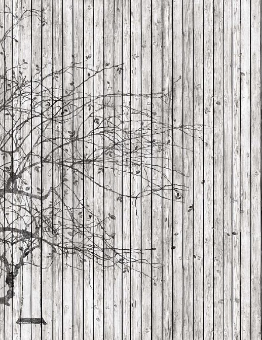 Панно и фотообои Affresco Re-Space IV109 COL1