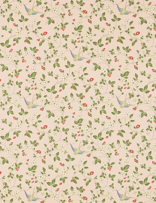 Ткань Clarke & Clarke Botanical Wonders F1606/01