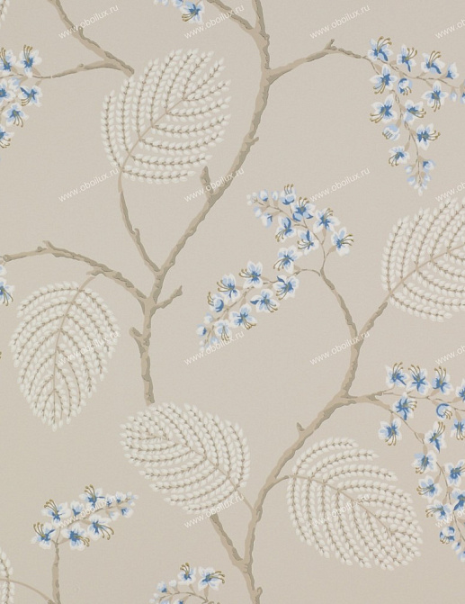 Обои Colefax and Fowler Celestine 07141-06