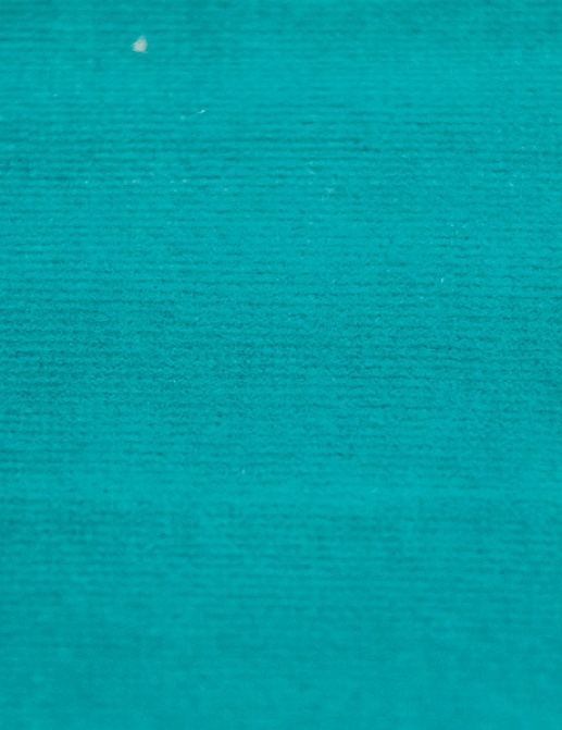 Ткань Alessandro Bini Velluto di Cotone G075/407