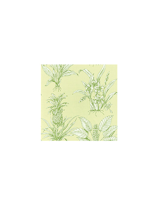 Ткань Thibaut Toile Resource II F99798
