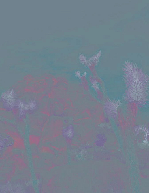 Панно и фотообои Wall & Deco Contemporary Wallpaper 2022 WDJO2202
