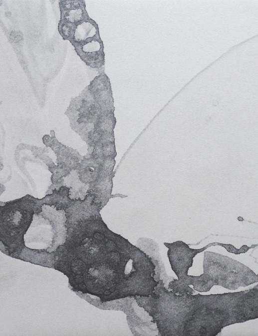 Панно и фотообои Calico Microcosmos Drift