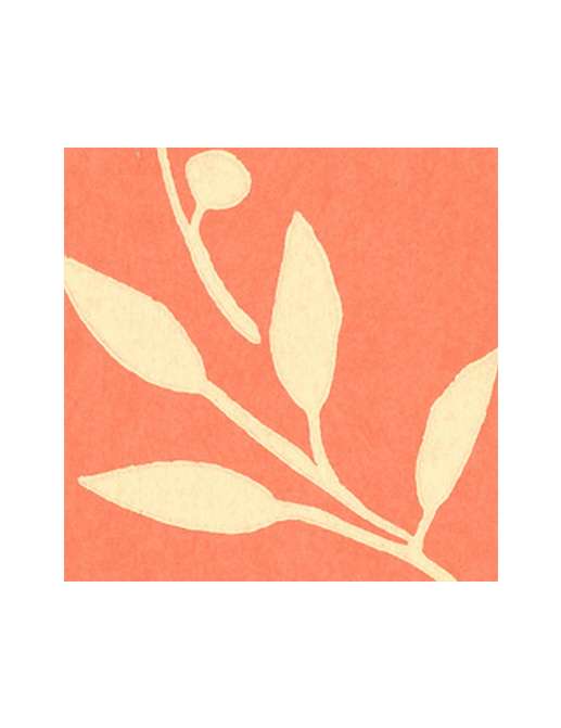 Обои Thibaut Chelsea T3254