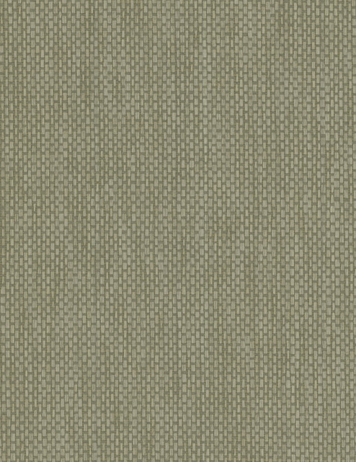 Обои Jannelli & Volpi 454 Omnia 3160