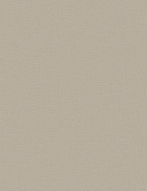 Обои Galerie Designer Colours DC30181