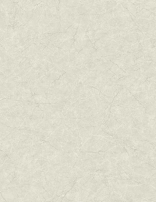 Обои Carl Robinson Edition 17 - Loft CR81210