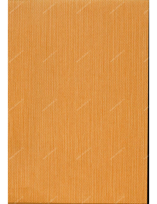 Обои Hookedonwalls Tropical Chic 36211
