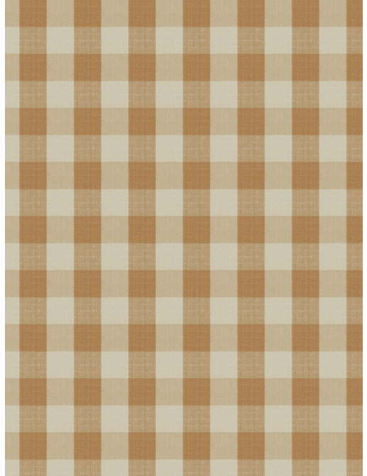 Ткань Stroheim Charles Faudree Biron Strie Check Biron strie check/Pumpkin