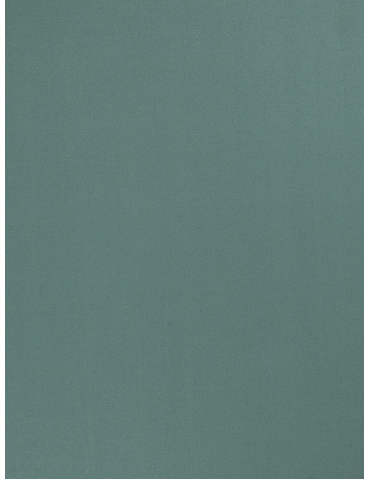 Ткань Trend Multipurpose Sleek Satin Vol.II 02022/Balsam